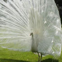 Jessica Bertagna - @JessicaBerta - Twitter