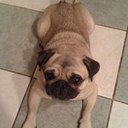 jack warwick - @iamwiIlwq - Twitter