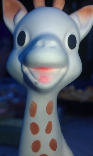 martin_mcmullen's profile picture. Irish, architect, clearly not a giraffe.