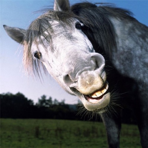 anna77888's profile picture. вот