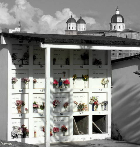 starosadeosos's profile picture. Bello Municipio del Norte De Antioquia 
De majestuosos Paisajes, Calor Humano Y cordialidad sin limites Ven y conocelo, Espacio No oficial