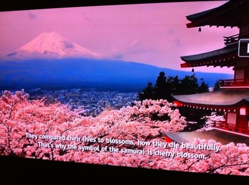 shibumi0237's profile picture. 