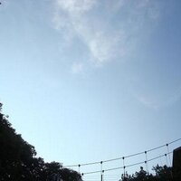 thenumber2 (@msnr_mkm) 's Twitter Profile Photo