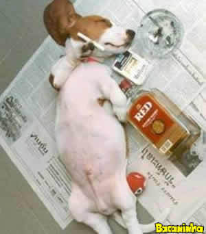 kpietri's profile picture. 