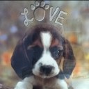 Danielle Nikole - @dance994life - Twitter