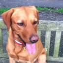 jack close - @Fan99jack - Twitter