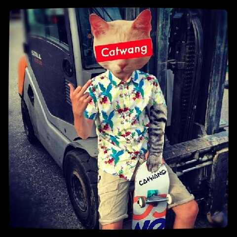 Thecomputer98's profile picture. 