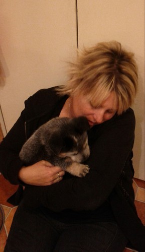 Be3Ge3s's profile picture. 