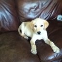 morgan brooke weaver - @Weaver1Morgan - Twitter