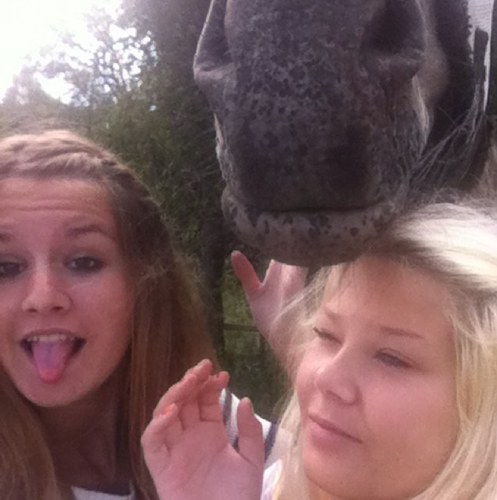 Sanna and Linn♥
Horses = our life
http://t.co/8JK4zSwbJZ