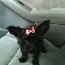 sharon paschall - @paschall_sharon - Twitter