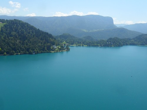 OldCeleron's profile picture. Don't follow me, I DON'T follow back