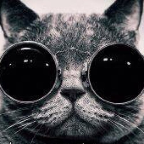 CodenameGrimm's profile picture. searching for The Truth behind ByoLogyc.  They aren't sharing everything...