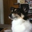 Paul Bowling - @otrcowboy - Twitter