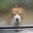 moyo1120's profile image