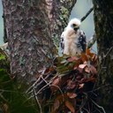 Luis Tirado - @TiradoLeon - Twitter