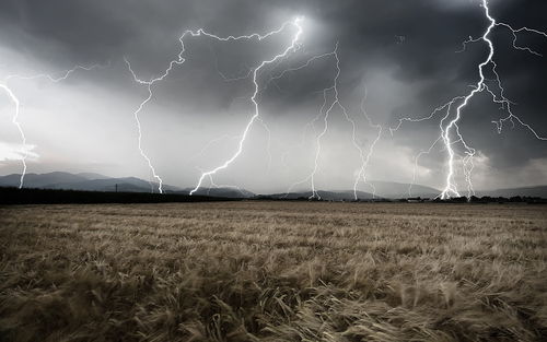 TechDeus's profile picture. 