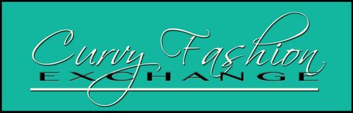 Goal: Network promote & foster an environment where plus-sized industry professionals and those that advocate for them can bring awareness to the Curvy Movement