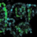 Nikki Jo Stiles - @NikkiJoStiles - Twitter