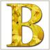 BME (@thebirdmom) Twitter profile photo