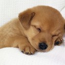 Allison Miles - @AllisonMiles3 - Twitter