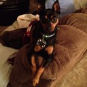 Liz Ritter - @iamnocando - Twitter