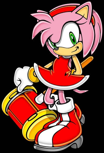 i am amy rose i will rape you for no reaon but i will mostley rape @CrusinBlue