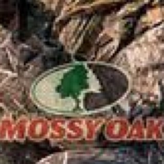 wynM55's profile picture. my name is wyn mims, i am a junoir  at (pcs).my favorite color is camo. i love God, bass fishing,guns,country music,hunting,and baseball. i live in alabama.RTR