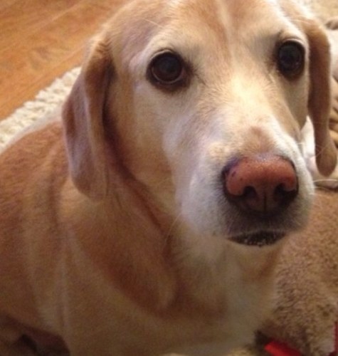 erosario16's profile picture. 