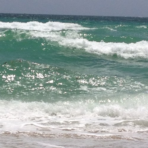 amiragai5's profile picture. 