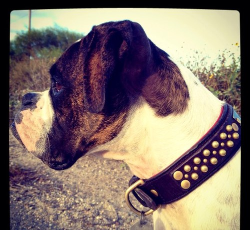 neowalker's profile picture. 