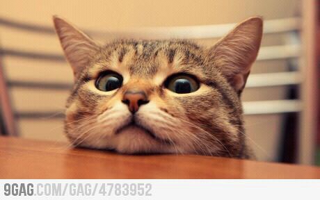 Socially awkward.
