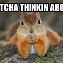 Beverly Gross - @nursebevpan - Twitter