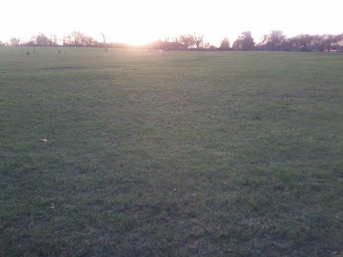 no_su_'s profile picture. paradise lost好き。パラロス信者とはいえここんところは凛として時雨をはじめ邦ロックばかり聴いてる感。近頃よくウンザウンザしてます。