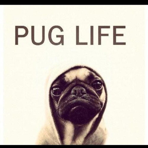 marcos51199's profile picture. 