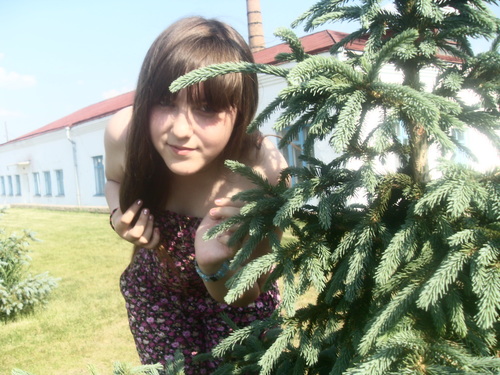 myblogs13's profile picture. 