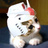 にゃんダムのアイコン