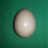 PhilipGCook's profile image