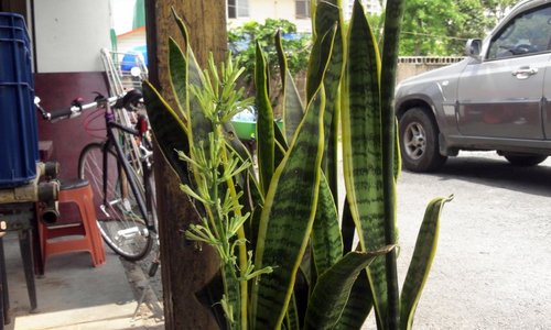 byunck3675's profile picture. 술을 사랑하고 시를 사랑하는 방랑자/테니스/