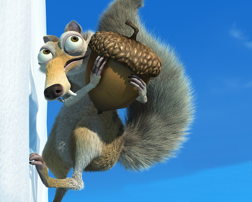 fedor369's profile picture. 