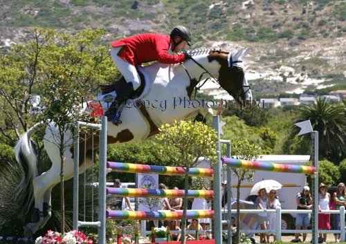 Keeping you up to date with the latest news, results and entertainment taking place in the the world of South African Show Jumping