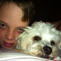 Brad Bannister (@bradnhaz) 's Twitter Profile