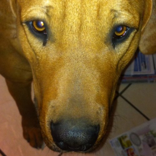 michaelrbsmith's profile picture. 