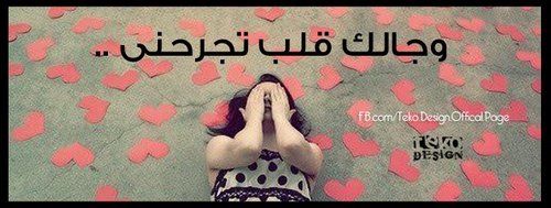 Reham_roroo's profile picture. 