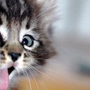 claudine robert - @RobertClaudine - Twitter