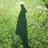 missalice95's profile image