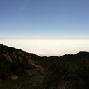 James Stephens - @TeddyStephens - Twitter