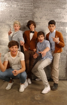 Tera tudo oqe precisa parar virar uma fã ideal do one direction