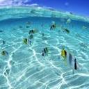 candy mao - @candy_mao - Twitter