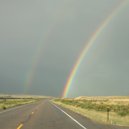 fogshired's profile picture. 